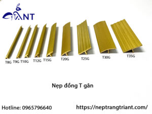 nẹp chỉ đồng thau t gân