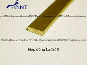 Nẹp đồng La 3x15