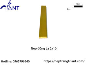 Nẹp đồng La 2x10