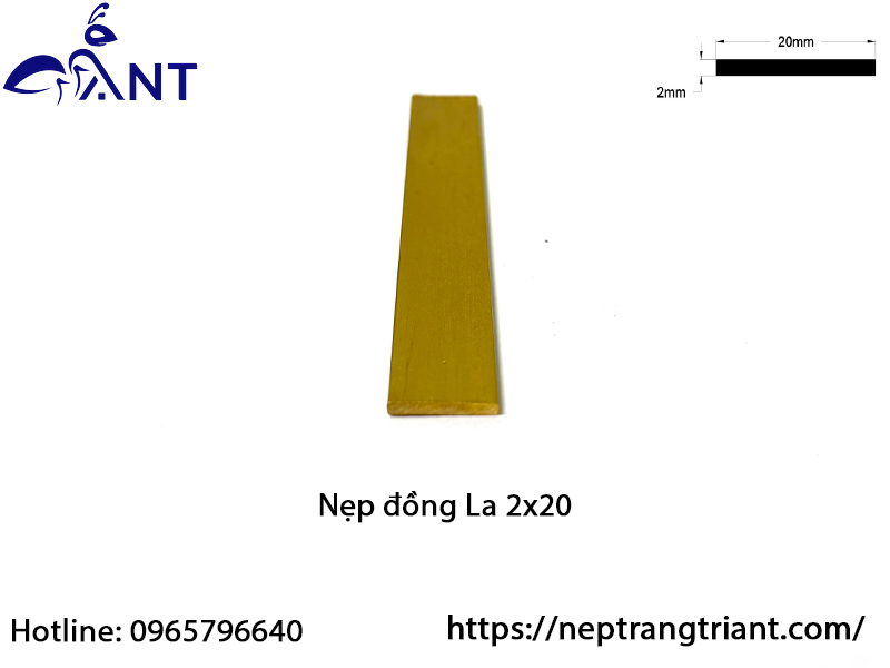 Nẹp đồng La 2x20