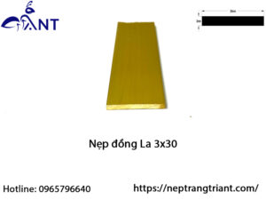 Nẹp đồng La 3x30