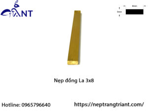 Nẹp đồng La 3x8