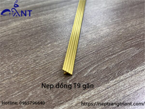 Nẹp đồng T9 gân