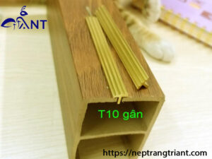 Nẹp đồng T10 gân